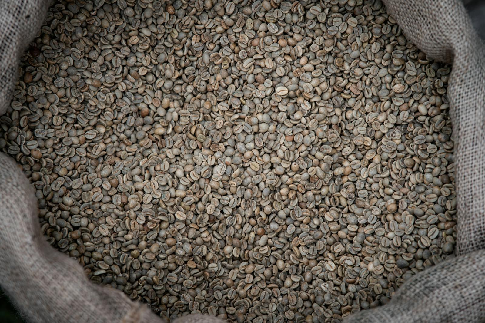 Caffè Decaffeinato Specialty: I Processi Moderni